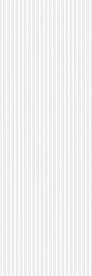 S010 3D06